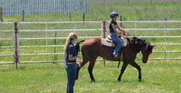 Montana Horse Training