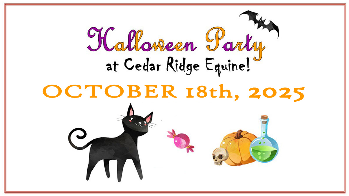 2025 CRE Annual Halloween Fun Day