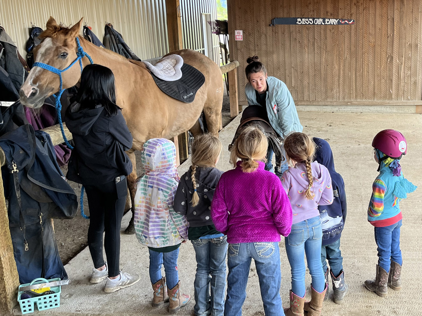 How To Saddle A Horse Kid Instruction