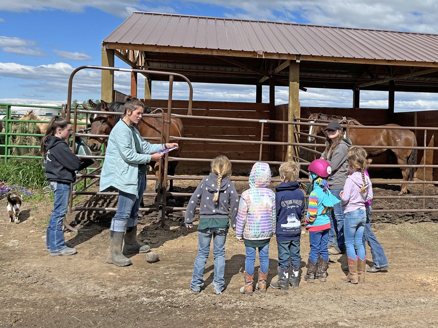 Kids Learning About Horse Care