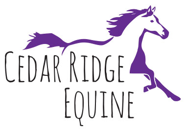 CRE Horse Riding Lessons Montana Logo