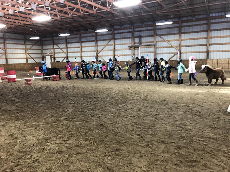 CRE Youth Adult Horse Workshops Bozeman