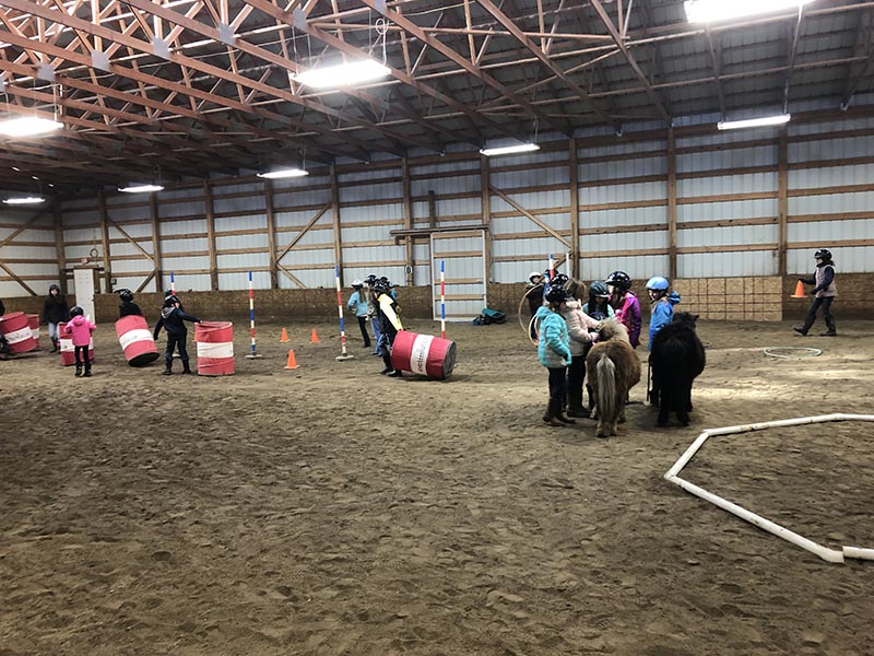 CRE Youth Adult Horse Workshops