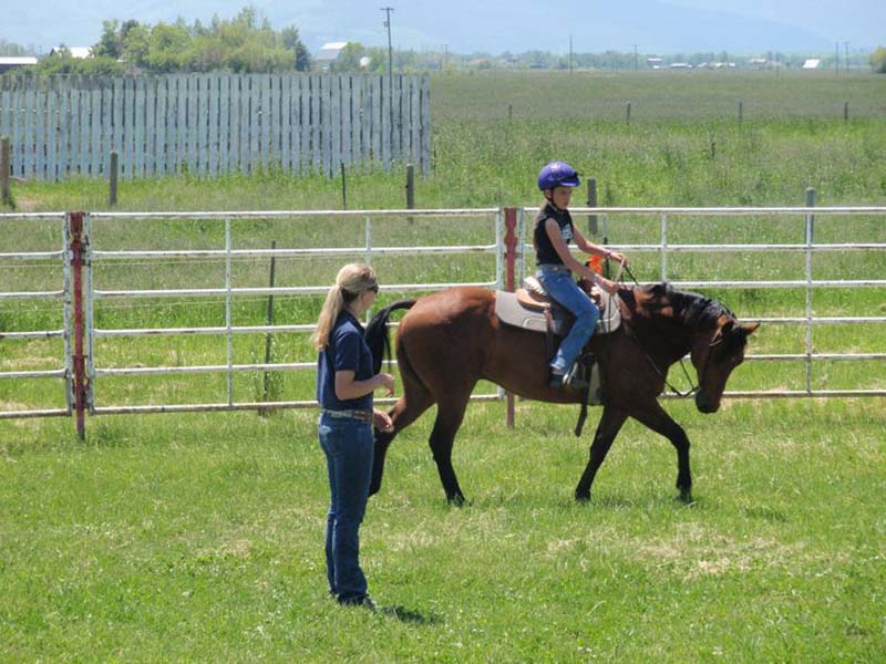 Bozeman Horse Training