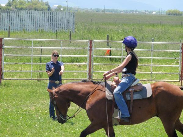Private Horse Riding Lessons