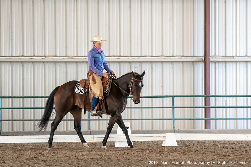 Amy Prechter Horse Trainer Competition