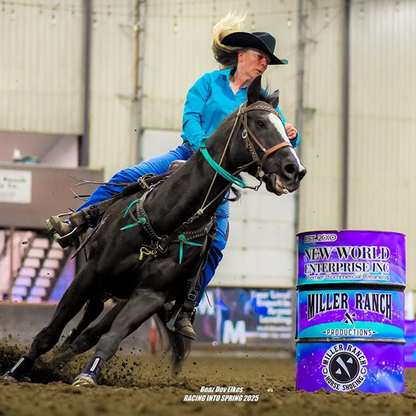 Jessica Howard Bozeman Mt Horse Camp Assistant